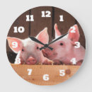 Search for piglet clocks Baby pig