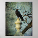 Search for passerines posters Blue