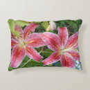 Search for stargazer lily decor Photography
