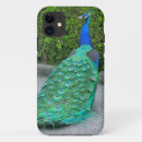 Search for wild peacock iphone cases Nature
