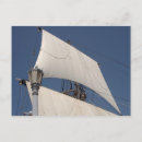 Search for steer postcards Ship