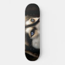 Search for huskies skateboards Animal