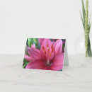 Search for stargazer cards Garden