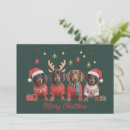 Search for dachshund christmas cards Santa claus