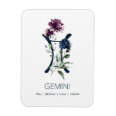 Search for gemini magnets Watercolor