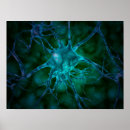 Search for synapses posters Connection