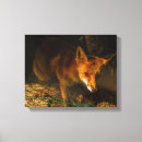 Search for mammals canvas prints Animal