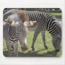 Search for outdoors mousepads Grazing