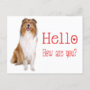 Search for collies postcards Lassie