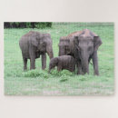 Search for sri lanka puzzles Ceylon