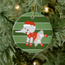 Search for specialized small christmas tree decorations For kids
