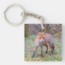Search for cute fox key rings Wildlife