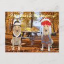 Search for funny dog thanksgiving cards Humour