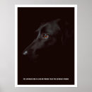 Search for dog sayings posters Dogs