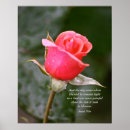 Search for came photography Quote