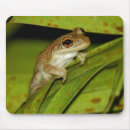 Search for tree mousepads Frog