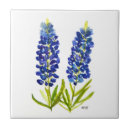 Search for texas star tiles Texan