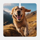 Search for dog run christmas tree decorations Golden retriever