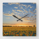 Search for sunset clocks Farm