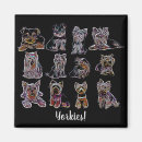 Search for yorkies magnets Yorky