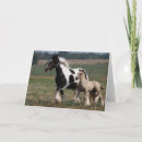 Search for vanner cards Foal