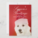 Search for events christmas cards Celebration