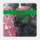 Search for furry christmas tree decorations Pet