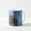 Search for eagles mugs Wild life
