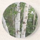 Search for birch tree coasters Trees
