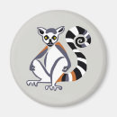 Search for lemur magnets Primate