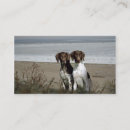 Search for pointers business cards Bird dog