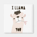 Search for alpaca magnets Chile