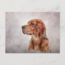 Search for beagle breed postcards Cute
