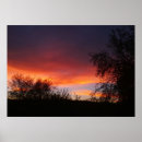 Search for sonoran posters Southwest