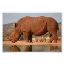 Search for rhino art Africa