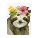 Search for sloth magnets Cute