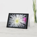 Search for friendship birthday cards Floral