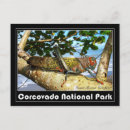 Search for cricket postcards Grasshopper