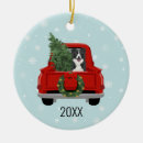 Search for border collie christmas decor Xmas