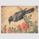 Search for raven tissue paper Decoupage
