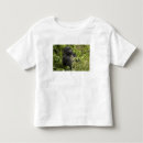 Search for mountain gorilla tshirts Forest