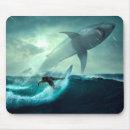 Search for sharks electronics Surfing