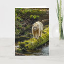 Search for british columbia cards Cathy