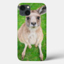 Search for kangaroo cases Joey