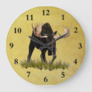 Search for moose clocks Nature