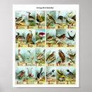 Search for vintage alphabet posters Old