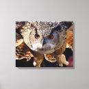 Search for owls canvas prints Birds