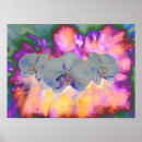 Search for pink orchid posters Abstract