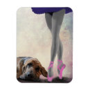 Search for dancer rectangular magnets Steampunk