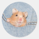 Search for pocket stickers Blue jeans